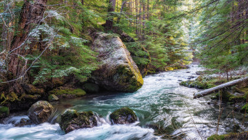 Картинка природа реки озера простор