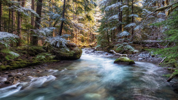 Картинка природа реки озера простор