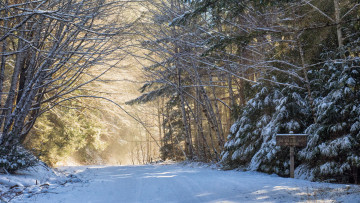 Картинка природа зима простор