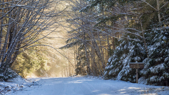 Обои картинки фото природа, зима, простор