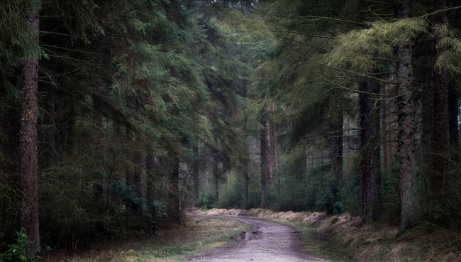 Обои картинки фото природа, дороги, простор