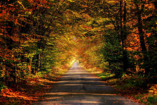 Обои картинки фото природа, дороги, простор