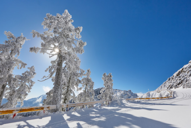 Обои картинки фото природа, зима, простор