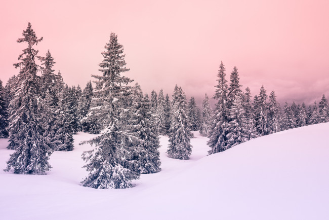 Обои картинки фото природа, зима, простор