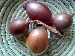 обоя еда, лук, репчатый, луковицы