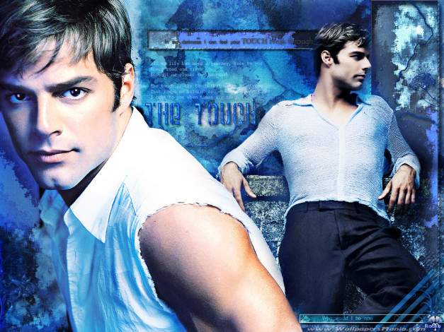 Обои картинки фото мужчины, ricky, martin