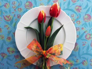 Картинка цветы тюльпаны