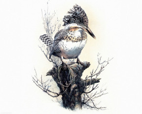 Картинка рисованные животные