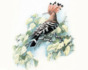 Картинка рисованные животные