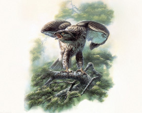 Картинка рисованные животные