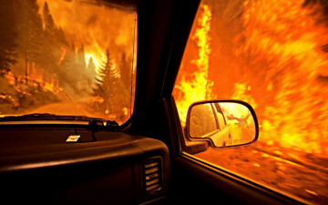 Картинка фэнтези драконы