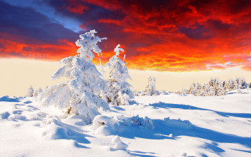 Картинка природа зима