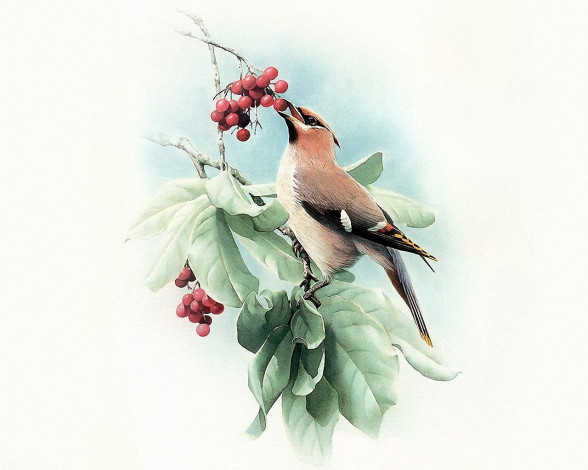 Обои картинки фото рисованные, животные