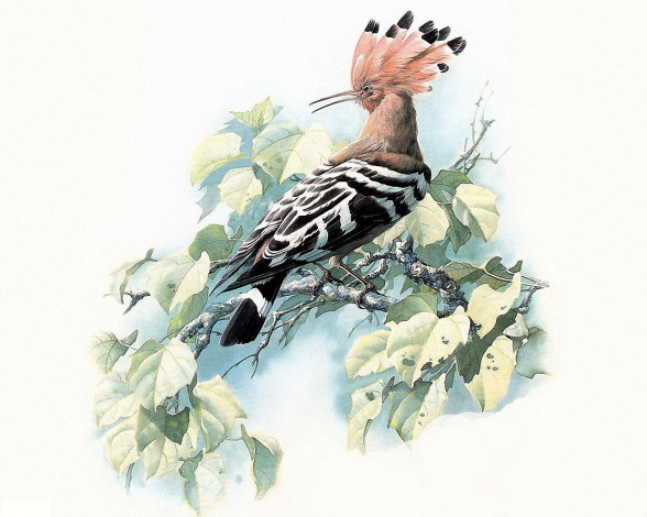 Обои картинки фото рисованные, животные