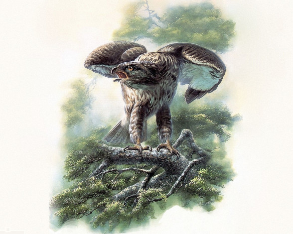 Обои картинки фото рисованные, животные