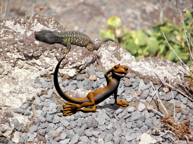 Обои картинки фото разное, компьютерный, дизайн