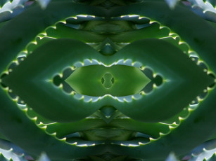 Картинка 3д графика fractal фракталы фон