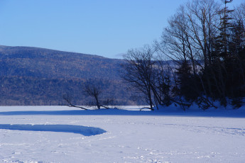 Картинка природа зима снег деревья