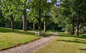 Картинка природа парк скамья дорога