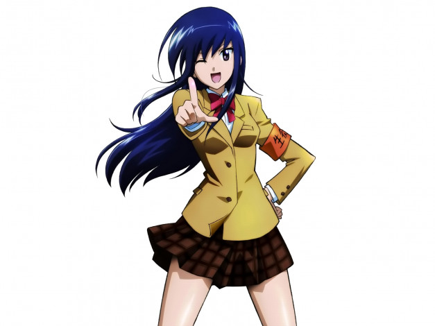 Обои картинки фото аниме, seitokai, yakuindomo, девушка