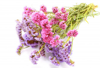 Картинка цветы букет