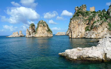 Картинка природа побережье океан скалы круча деревья