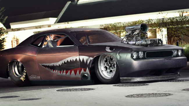 Обои картинки фото автомобили, hotrod, dragster, dodge, challenger, drag, racing