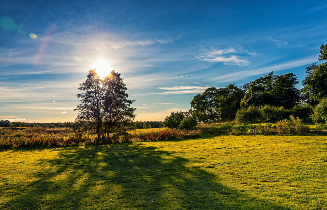 Обои картинки фото природа, поля, пейзаж, финляндия, finland, деревья