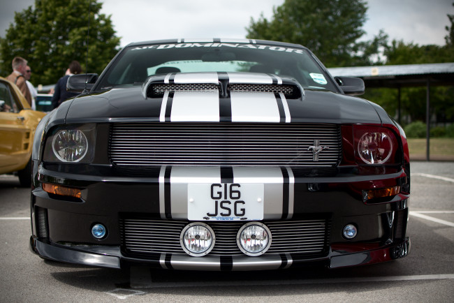 Обои картинки фото автомобили, mustang, ford, asc, dominator