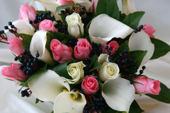 Обои картинки фото цветы, букеты, композиции, каллы, розы