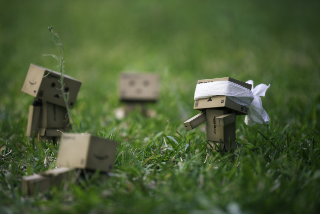 Обои картинки фото разное, данбо, danboard, прятки, коробочки, игра