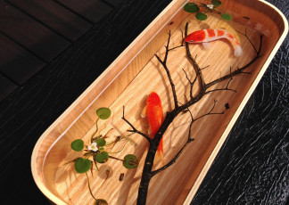 Картинка животные рыбы рыбки емкость вода ветка растения золотые