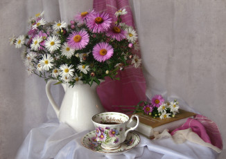 Картинка цветы астры татарская астра