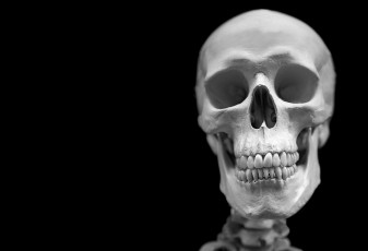 Картинка разное кости +рентген череп