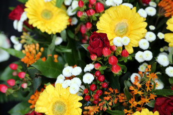 Картинка цветы разные+вместе розы герберы