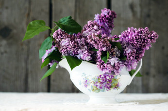 Картинка цветы сирень