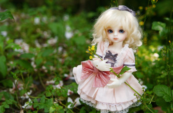 Картинка разное игрушки кукла