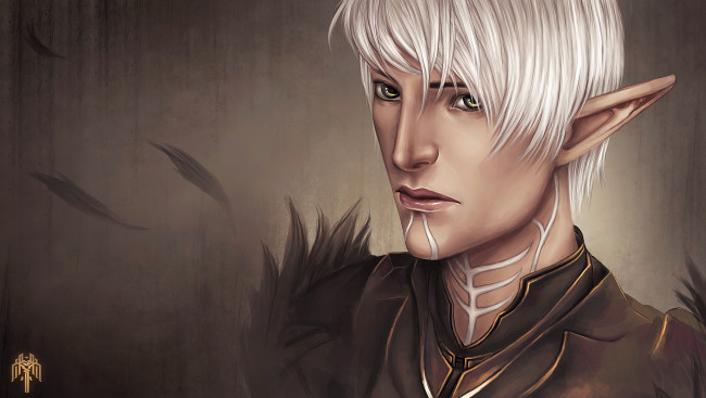 Обои картинки фото видео игры, dragon age 2, парень, перья, клейма, фенрис, fenris, dragon, age, 2, арт, эльф, воин