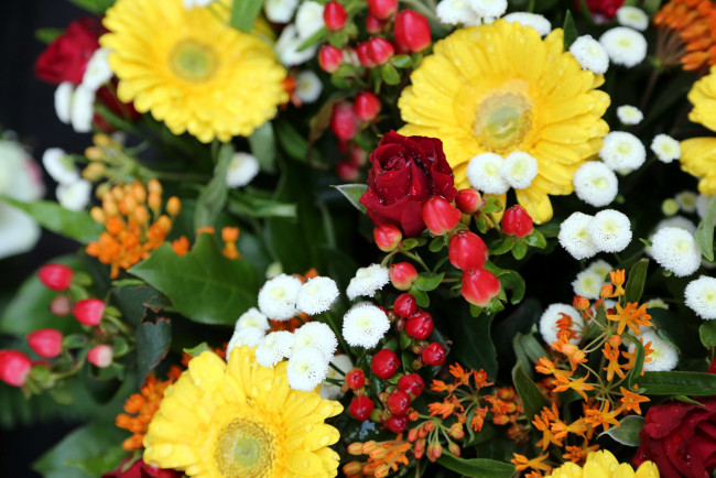 Обои картинки фото цветы, разные вместе, розы, герберы