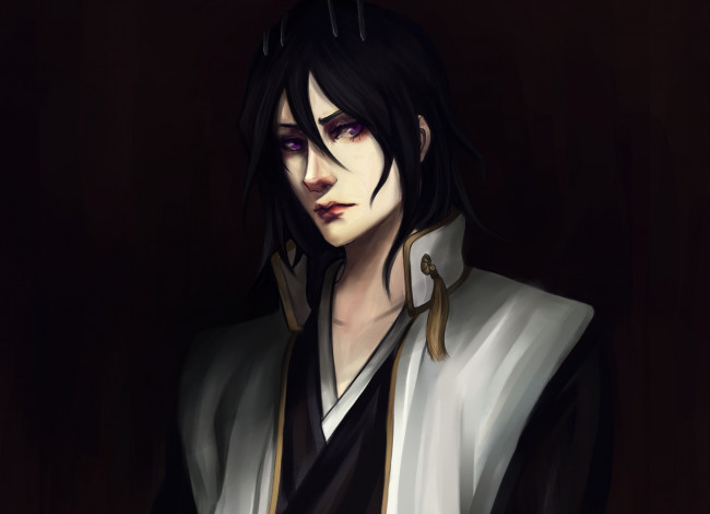 Обои картинки фото аниме, bleach, красавчик, парень, рисованный, глава, клана, кучики, капитан, 6, отряда, бьякуя