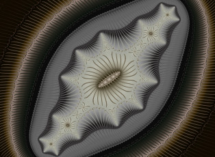 Картинка 3д+графика фракталы+ fractal цвета фон узор