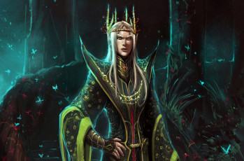 Картинка фэнтези эльфы мужчина эльф портрет кино хоббит король