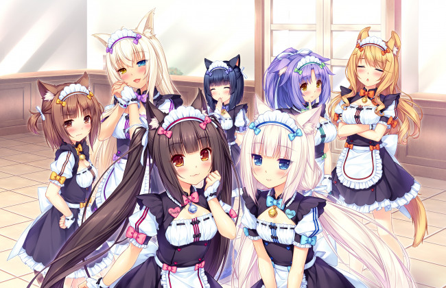 Обои картинки фото nekopara, аниме, девушки, фон, взгляд