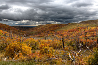 Картинка природа пейзажи простор