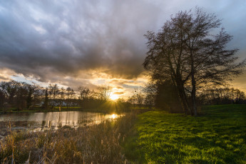 Картинка природа реки озера река лес