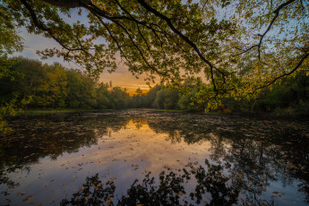 Картинка природа реки озера река лес