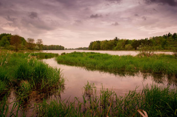 Картинка природа реки озера река лес