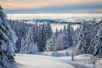 Картинка природа зима снег