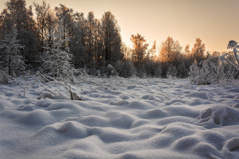 Картинка природа зима снег