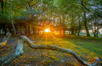 Картинка природа восходы закаты рассвет